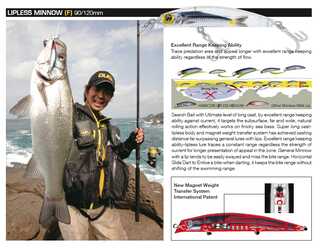 DUEL HARDCORE LIPLESS MINNNOW 120F F943-HOKS_1