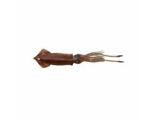 SG 3D TPE SWIM SQUID 95MM 10G RED BROWN (paquete de 2 unidades)