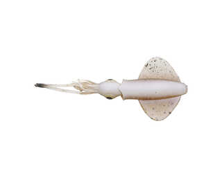 SG SWIM SQUID LRF 5CM 0.8G CUTTLEFISH 5PCS