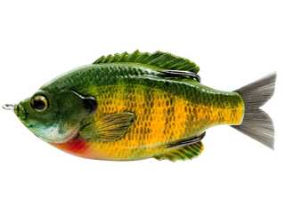 DC SLIDE GILL 6.5CM 17G FLOATING VIVID GILL