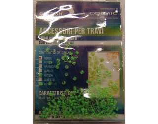 CORAL FLUORESCENTE VERDE CORAL FLUORESCENTE VERDE