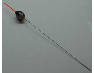 FLOTADOR COLMIC STREAM NEW 5 gr FLOTADOR COLMIC STREAM NEW 5 gr