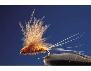 TKL EFEMERA CINNAMO Nº18 (SIN MUERTE)  TKL EFEMERA CINNAMO Nº18 (SIN MUERTE)