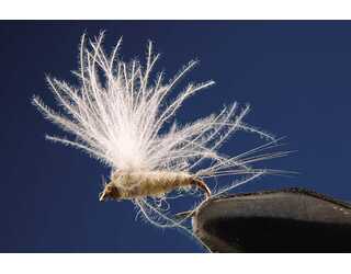 TKL EFEMERA PALE Nº18 (SIN MUERTE)  TKL EFEMERA PALE Nº18 (SIN MUERTE)