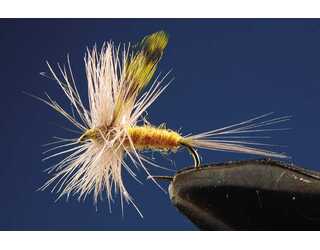 TKL EFEMERA RITROGENA Nº16 (SIN MUERTE)  TKL EFEMERA RITROGENA Nº16 (SIN MUERTE)