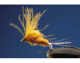 TKL EFEMERA EMERGENTE BROWN Nº16 (SIN MUERTE)  TKL EFEMERA EMERGENTE BROWN Nº16 (SIN MUERTE)