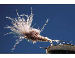 TKL EFEMERA EMERGENTE OLIVE Nº16 (SIN MUERTE)  TKL EFEMERA EMERGENTE OLIVE Nº16 (SIN MUERTE)