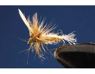 TKL EFEMERA EMERGENTE PALE Nº18 (SIN MUERTE)  TKL EFEMERA EMERGENTE PALE Nº18 (SIN MUERTE)