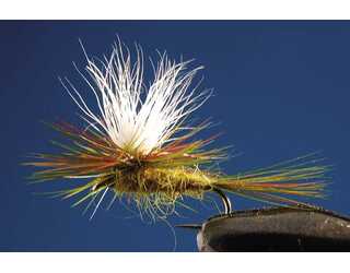 TKL PARACHUTE OLIVE Nº16 (SIN MUERTE) TKL PARACHUTE OLIVE Nº16 (SIN MUERTE)