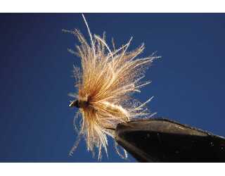 TKL TRICOPTERO CROSS BEIGE Nº16 (SIN MUERTE)