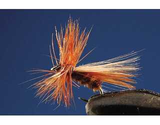 TKL TRICOPTERO BROWN Nº18 (SIN MUERTE)