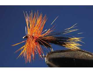 TKL TRICOPTERO DARK BROWN Nº18 (SIN MUERTE)