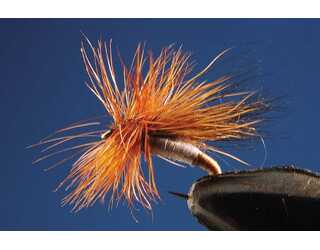 TKL TRICOPTERO GREY Nº16 (SIN MUERTE)