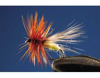 TKL TRICOPTERO (SIN MUERTE) PALE Nº16