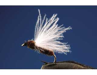 TKL HORMIGA (SIN MUERTE) BLACK Nº16 TKL HORMIGA (SIN MUERTE) BLACK Nº16