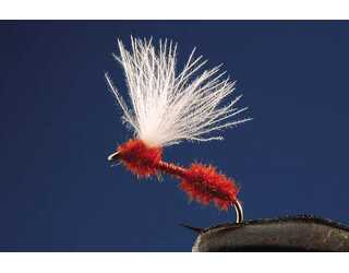 TKL HORMIGA (SIN MUERTE) RED Nº16 TKL HORMIGA (SIN MUERTE) RED Nº16