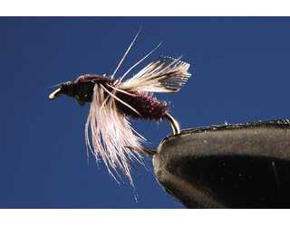 TKL TERRESTRIAL (SIN MUERTE) BLACK Nº18 TKL TERRESTRIAL (SIN MUERTE) BLACK Nº18