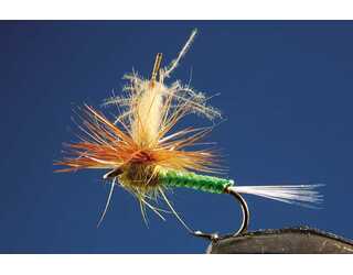 TKL PARACHUTE CDC OLIVE Nº14 TKL PARACHUTE CDC OLIVE Nº14