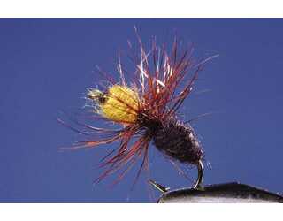 TKL HORMIGA BLACK BROWN Nº12 TKL HORMIGA BLACK BROWN Nº12