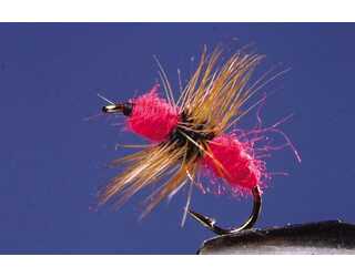 TKL HORMIGA RED Nº14 TKL HORMIGA RED Nº14