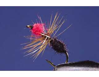 TKL HORMIGA BLACK/RED Nº14 TKL HORMIGA BLACK/RED Nº14