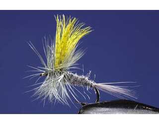 TKL EFEMERA HENDRICKSON Nº16  TKL EFEMERA HENDRICKSON Nº16