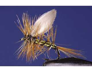 TKL EFEMERA WICKANZ'S Nº16  TKL EFEMERA WICKANZ'S Nº16