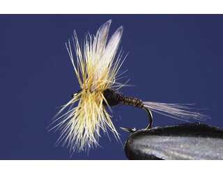 TKL EFEMERA BAETIS NIGER Nº18  TKL EFEMERA BAETIS NIGER Nº18