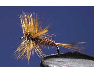 TKL EFEMERA IGNITA SPENT Nº18  TKL EFEMERA IGNITA SPENT Nº18