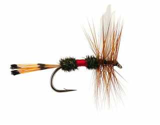 TKL EFEMERA ROYAL COACHMAN Nº12  TKL EFEMERA ROYAL COACHMAN Nº12