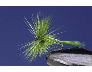 TKL EFEMERA OLIVE Nº20  TKL EFEMERA OLIVE Nº20