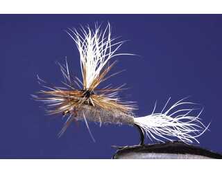 TKL PARACHUTE ADAMS Nº12 TKL PARACHUTE ADAMS Nº12