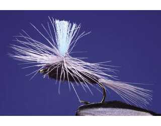 TKL PARACHUTE MYRDOGNFLUE Nº12 TKL PARACHUTE MYRDOGNFLUE Nº12