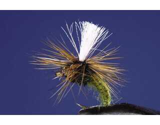 TKL PARACHUTE KLINK OLIVE Nº12 TKL PARACHUTE KLINK OLIVE Nº12