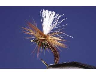 TKL PARACHUTE KLINK SPECIAL Nº12 TKL PARACHUTE KLINK SPECIAL Nº12