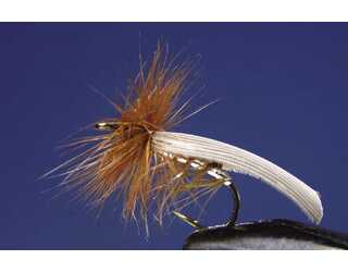 TKL TRICOPTERO SILVER Nº14