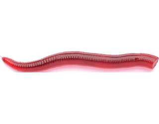 VORTEKS FEEDER BLOOD WORM SALMON (25 Unidades)  VORTEKS FEEDER BLOOD WORM SALMON (25 Unidades)