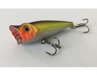POPPER TITAN SPORT KINGSTON 50 7