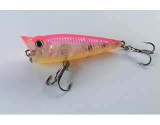POPPER TITAN SPORT KINGSTON 50 8