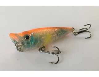 POPPER TITAN SPORT KINGSTON 50 11