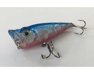 POPPER TITAN SPORT KINGSTON 50 12