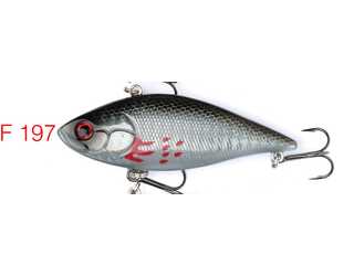 PEZ JINZA AMAYA 75 F197 PEZ JINZA AMAYA 75 F197