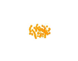 MINIPEARL VERCELLI Orange (200 unidades)  MINIPEARL VERCELLI Orange (200 unidades)
