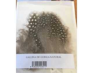 PLUMAS GALLINA DE GUINEA NATURAL  PLUMAS GALLINA DE GUINEA NATURAL