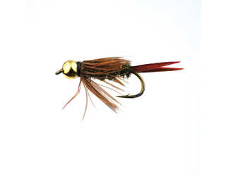 BF PRINCE CABEZA DORADA 12