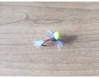 BF CABEZA DORADA NEGRA ROJA BRINCA 10