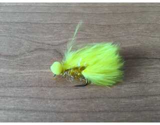 BF BOOBIES YELLOW 10