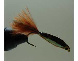 MINNOW TRUCHA MARRON 04  MINNOW TRUCHA MARRON 04