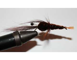 BF CANGREJO MARRON 06  BF CANGREJO MARRON 06
