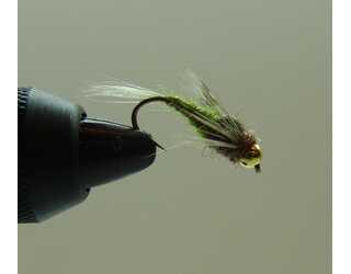 BF NINFA CABEZA DORADA OLIVA 12